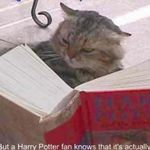 Beth Searle - @tris.ginny.hermione_aria_emily - Instagram