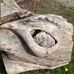 Beth Seaton - Facebook