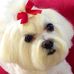 Beth Seeger - Facebook