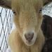 Bethany Seeger - Facebook