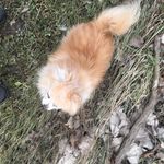 Betty Seeger - @bettyseeger - Instagram