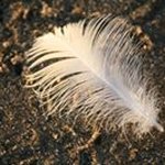 Liesbeth Seegers - @seegersliesbeth - Instagram