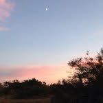 Beth Seelig - @bluebirdbonnie - Instagram