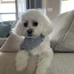 Beth Selby - @troybethselby - Instagram