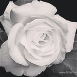 Mary Beth Selby - @ladymub - Instagram