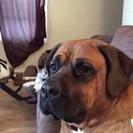 Beth Sell - @sellbeth - Instagram