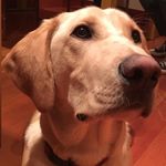 Beth Sellars - @curatorspot - Instagram