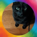Beth Sellers - @pepperandpickles31 - Instagram