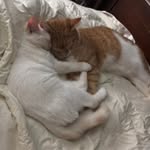 Beth Sellers - @accessiblevacaylakeanna - Instagram