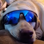 Elizabeth Selph - Facebook