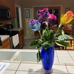 Beth senn - @bethsail12 - Instagram