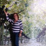 Beth Sennes - @bethsennes - Instagram