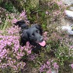 Beth Shelley - @beth_shelley1 - Instagram