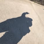 Beth Sheppard - @xox_b_e_t_h_xox_ - Instagram
