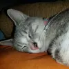 Beth Sheppard - @beth.sheppard3 - TikTok