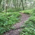 Beth Sheppard - @elizabethsheppardcross - Instagram