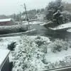 Beth Sherwood - @beth.sherwood8 - TikTok