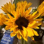 Beth Ann Shipley - @bethann1017 - Instagram