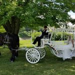 Beth Shipley - @horsingroundcarriageservice - Instagram