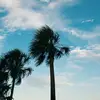Beth _ Shook - @beth_shook73829377383 - TikTok