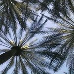 Beth Shook - @bigmamabeth - Instagram