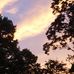 Beth Shook - Facebook
