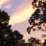 Beth Shook - @beth.shook.566 - Instagram