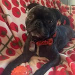 Beth Shook - @bethwrightshook - Instagram