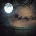 Beth Shutt - Facebook