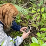 Beth Simpson, MS - @florida.orchids - Instagram