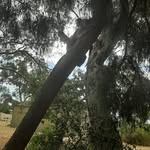 Beth Smart - @bethsmart5 - Instagram