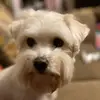 bethsmart95 - @bethsmart95 - TikTok