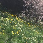 Beth Smiley - @beth.smiley70 - Instagram