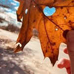 Beth Sommers - @justbeth1024 - Instagram