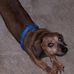 Beth Spaulding - Facebook