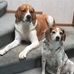 Elizabeth Spellman - Facebook