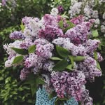 Kimmie - @mie_beth_stahl - Instagram