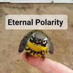 Beth Stanfield - @eternalpolarity - Instagram