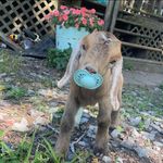 Mary Beth Stapleton - @mary_beth_stapleton - Instagram