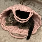 Beth Steel - Facebook