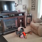 Beth Steel - Facebook