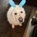 Beth Steen - Facebook
