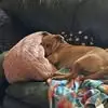 Beth Stidham - @beth.stidham - TikTok