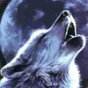 beth_storm - @beth_storm - TikTok