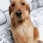 Beth Story - @grandfurmma2020 - Instagram