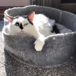 Beth Stoudt - @b.stoudt - Instagram