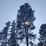 Beth Stump - @bethstump - Instagram