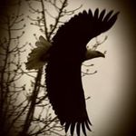 Beth Swope - @swopebeth - Instagram