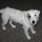 Beth Tierney Radick - @bethradick427 - Instagram