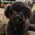Beth Singerman Titus - @bethanntitus - Instagram